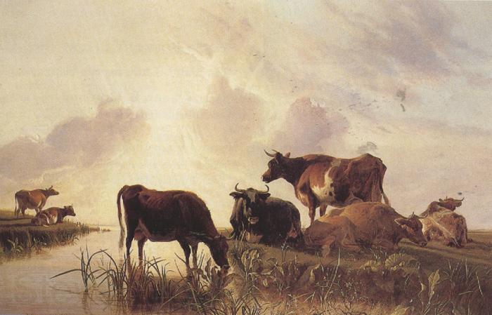 Thomas sidney cooper,R.A. A Meadow scene (mk37) Spain oil painting art